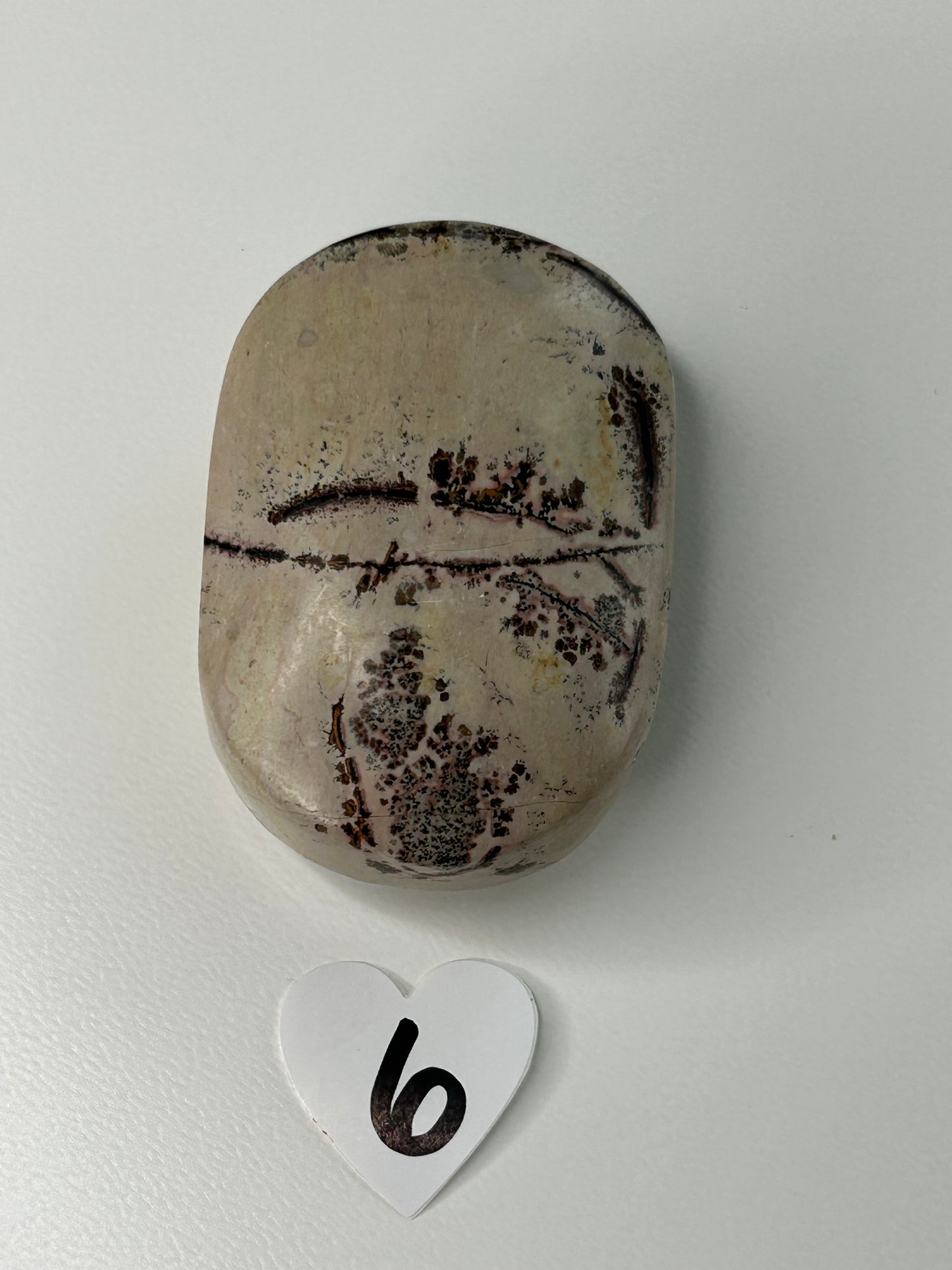 Picture Jasper Palm stone