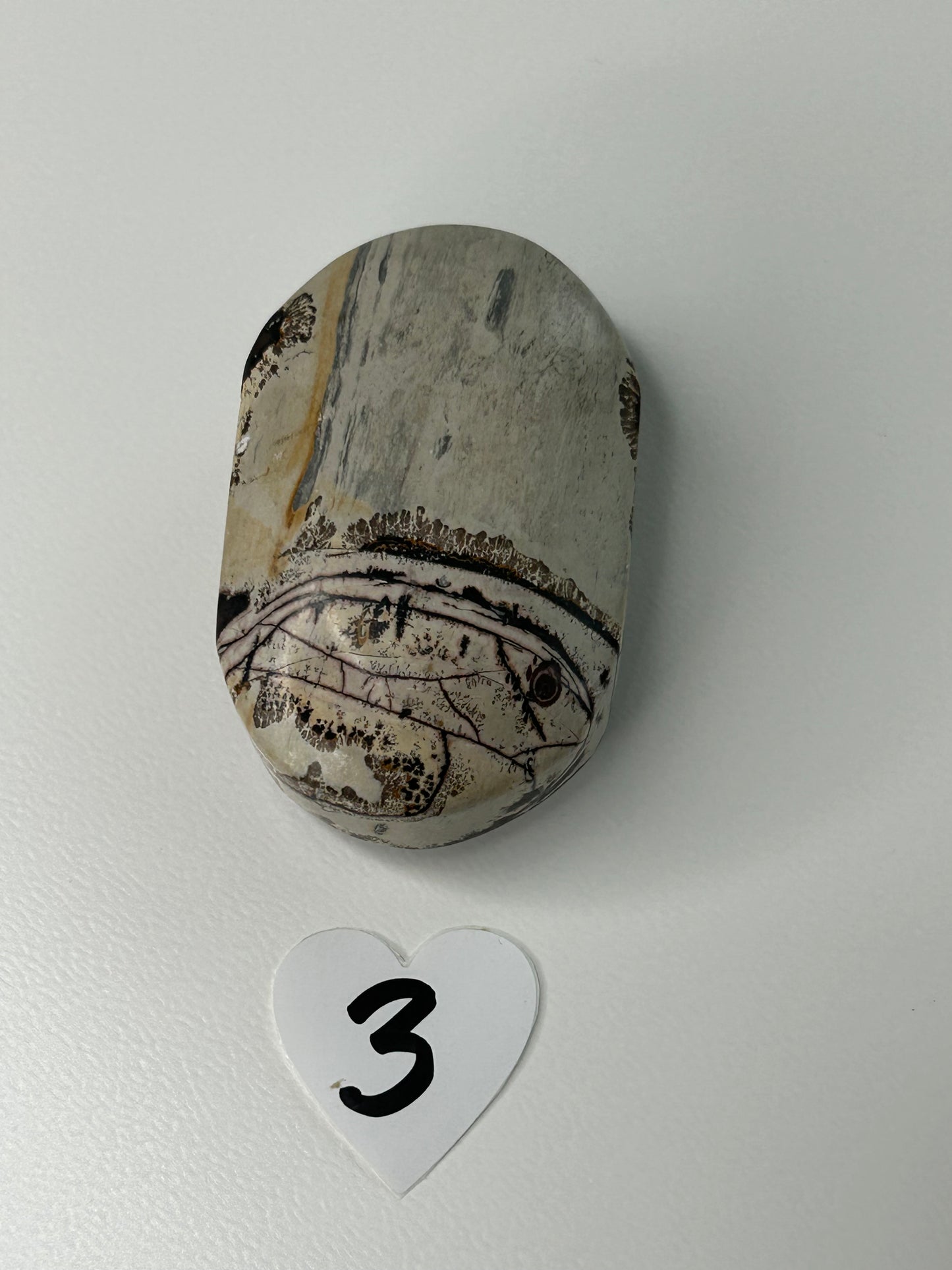 Picture Jasper Palm stone