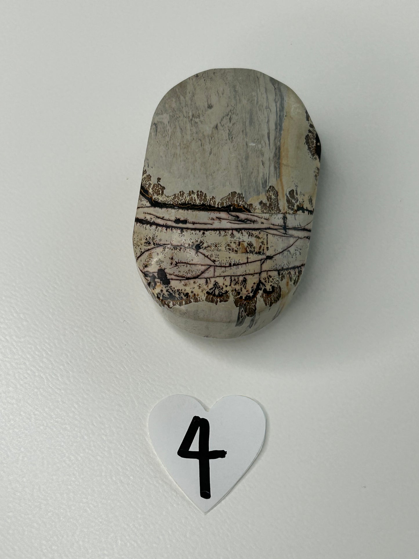 Picture Jasper Palm stone