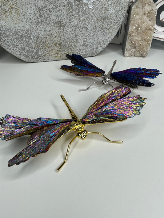 Titanium Aura Kyanite dragonflies