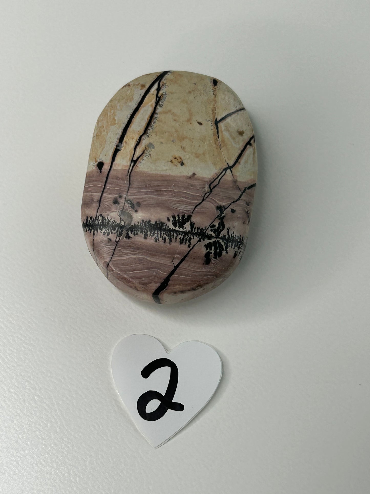 Picture Jasper Palm stone