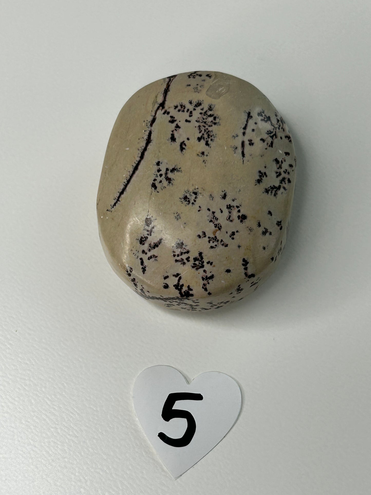 Picture Jasper Palm stone