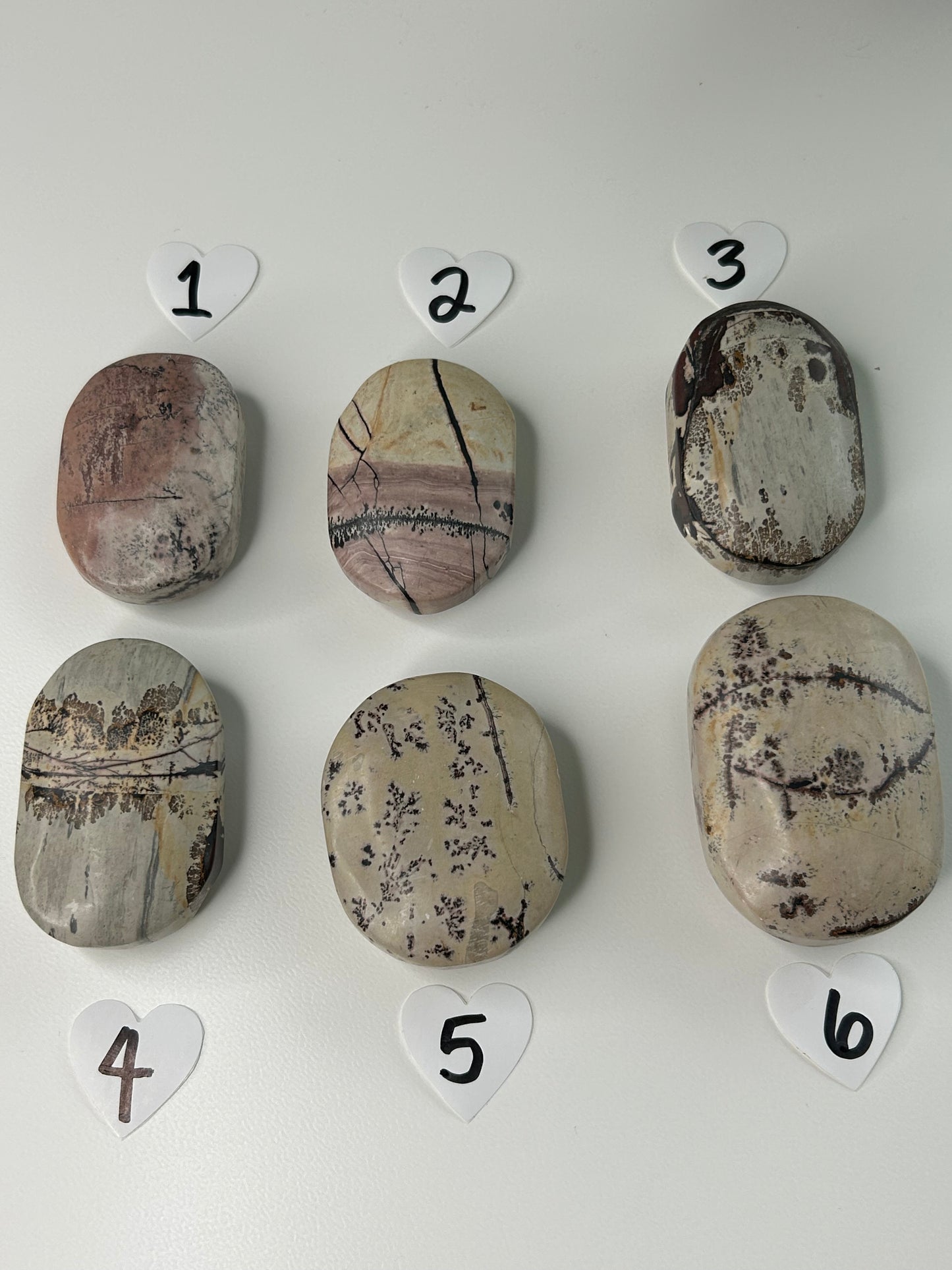 Picture Jasper Palm stone