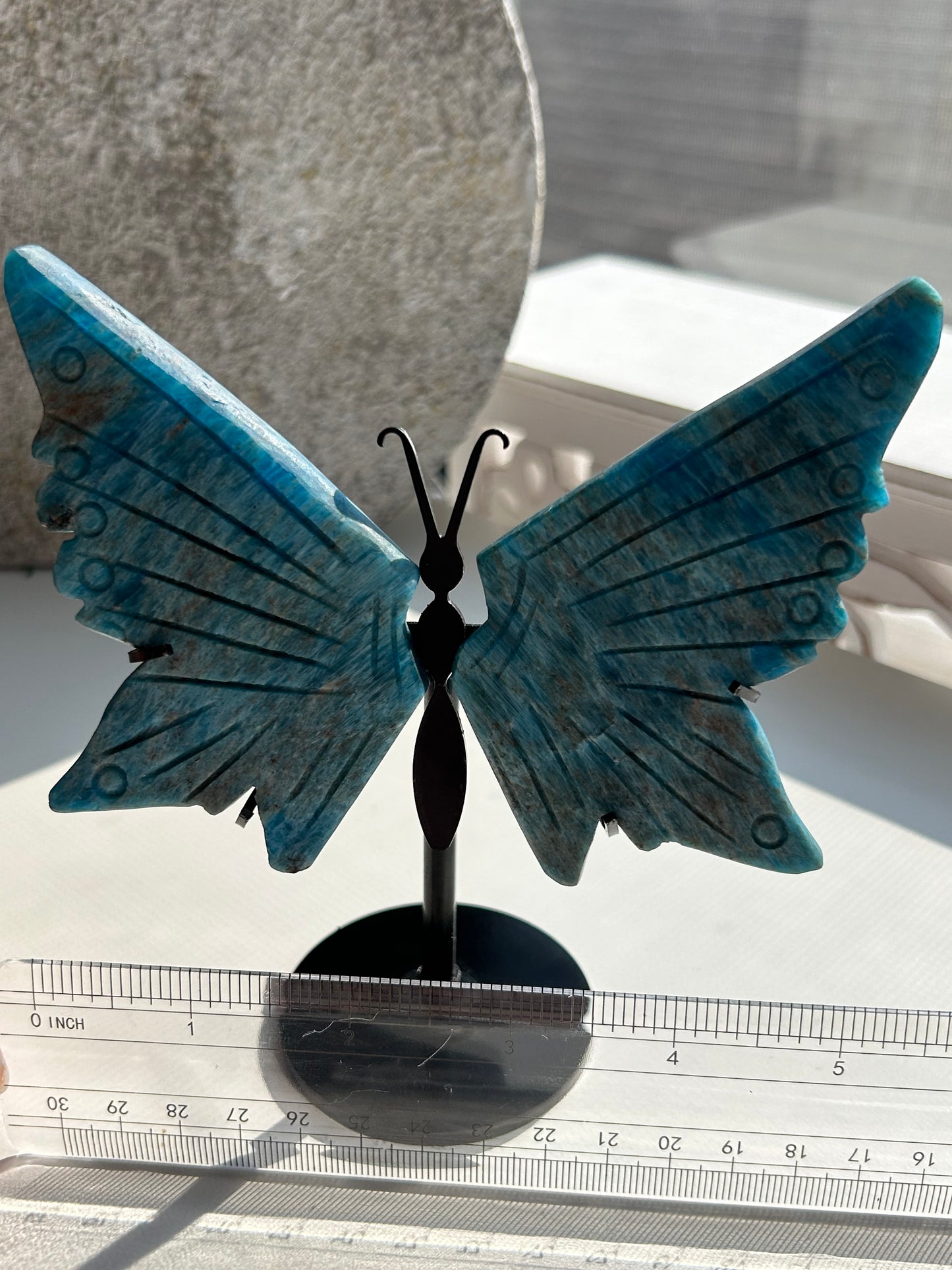 Blue Apatite Butterfly Wing Carvings on Stand