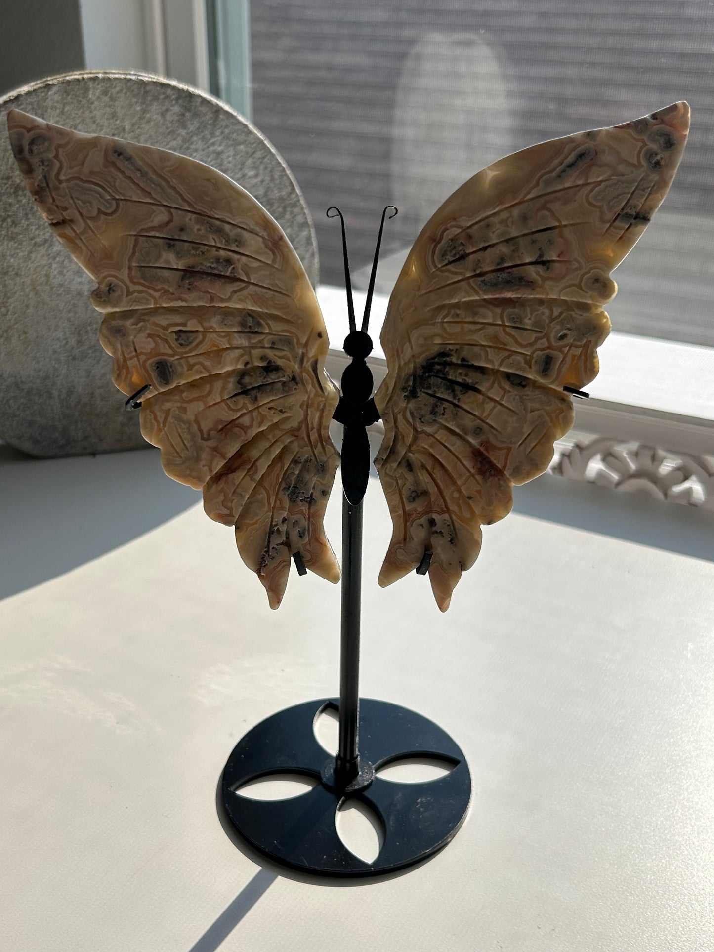 Crazy Lace Agate Butterfly Wing Carvings on Stand