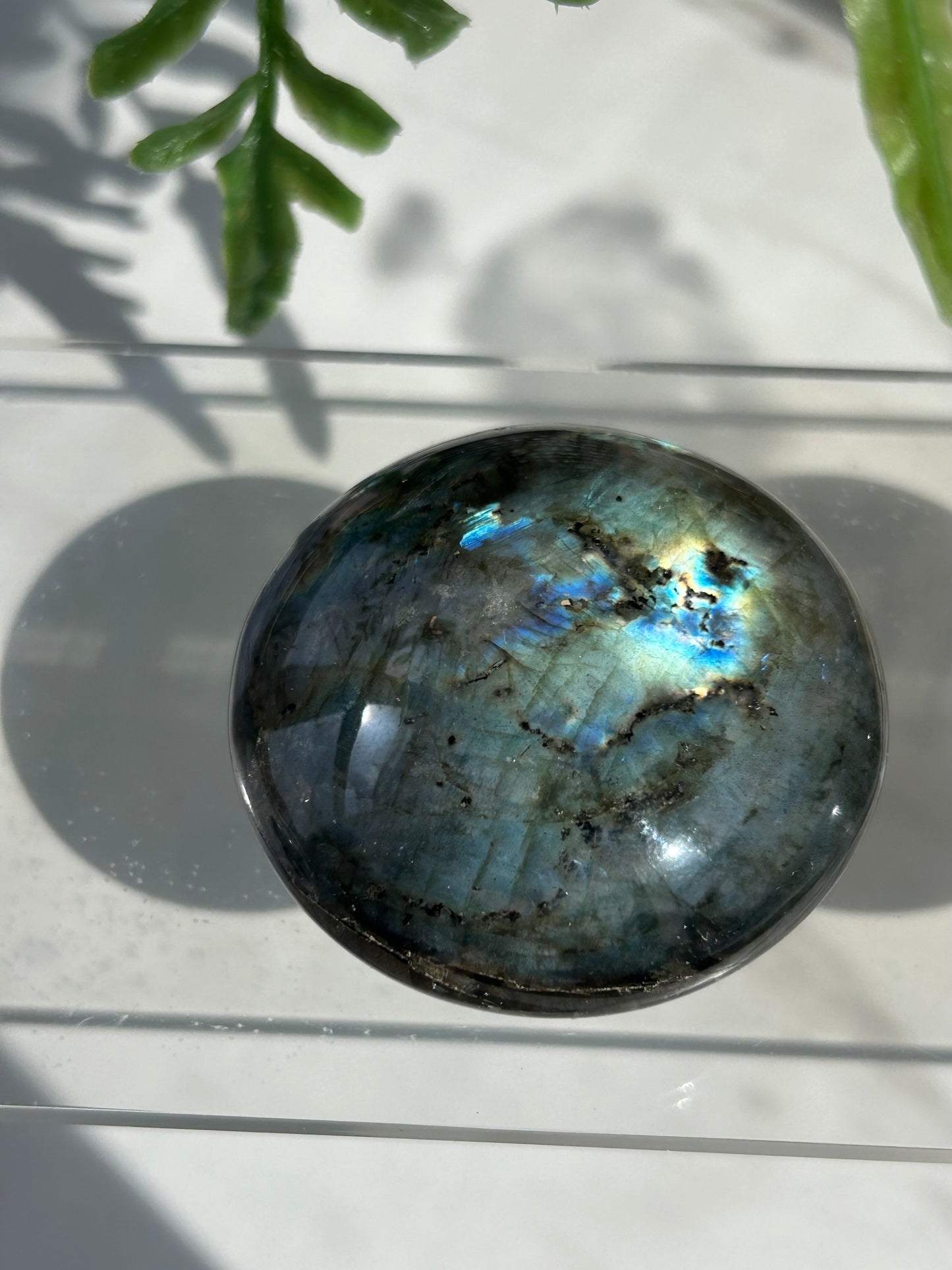 Labradorite🛸UFO Palm stone