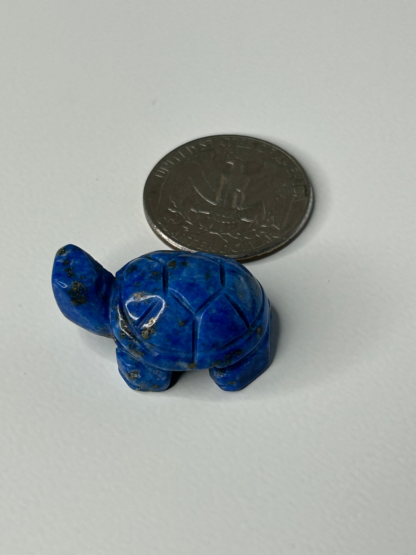 Mini Turtle Carving