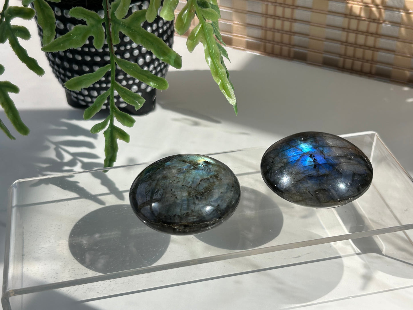 Labradorite🛸UFO Palm stone