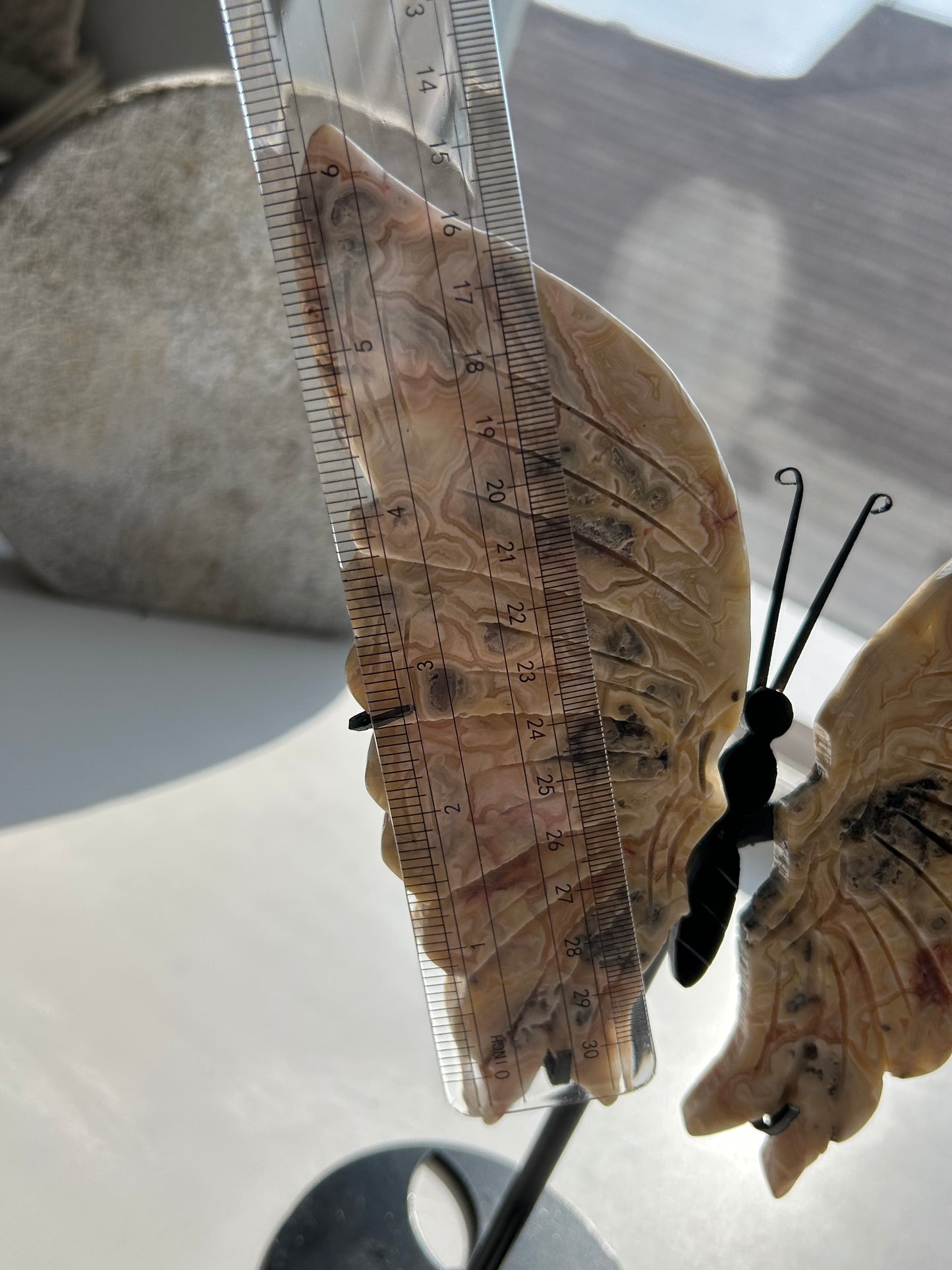 Crazy Lace Agate Butterfly Wing Carvings on Stand