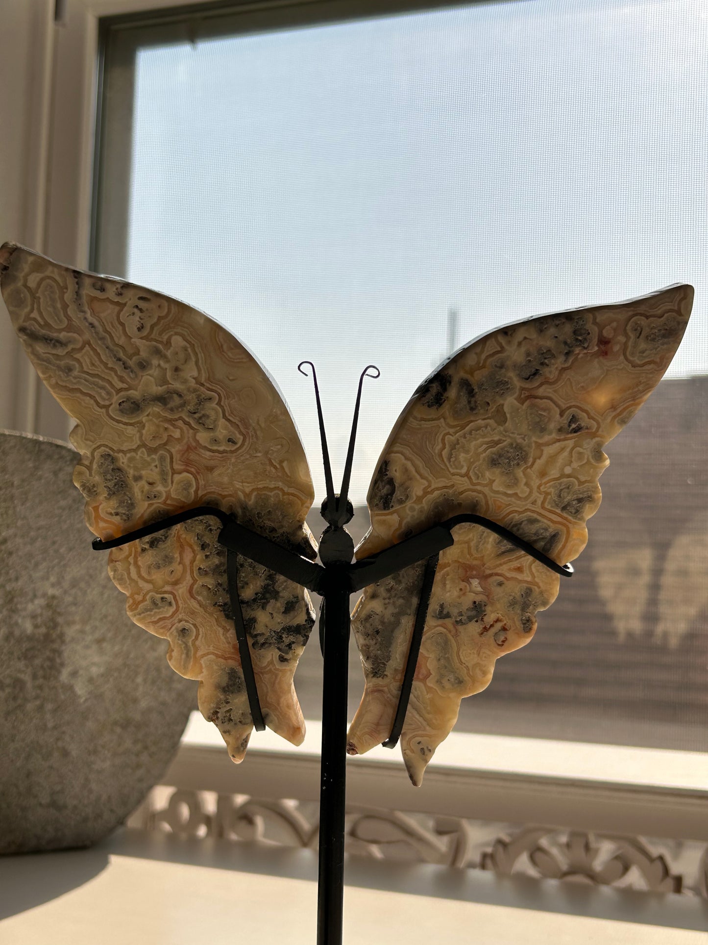 Crazy Lace Agate Butterfly Wing Carvings on Stand