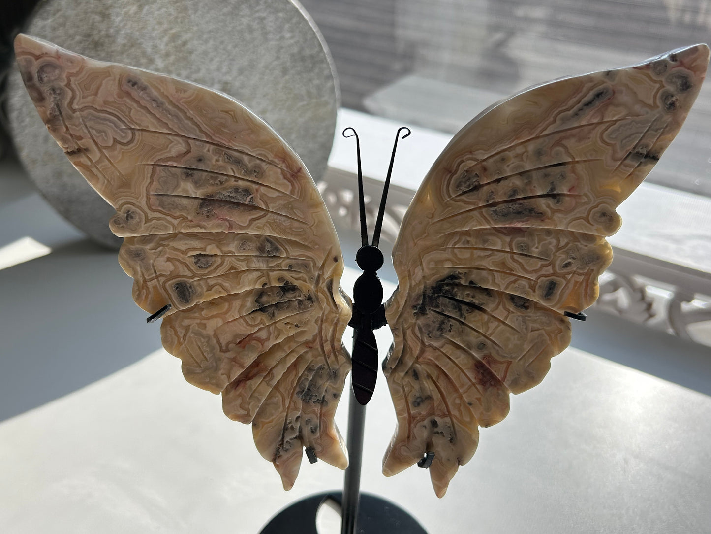 Crazy Lace Agate Butterfly Wing Carvings on Stand