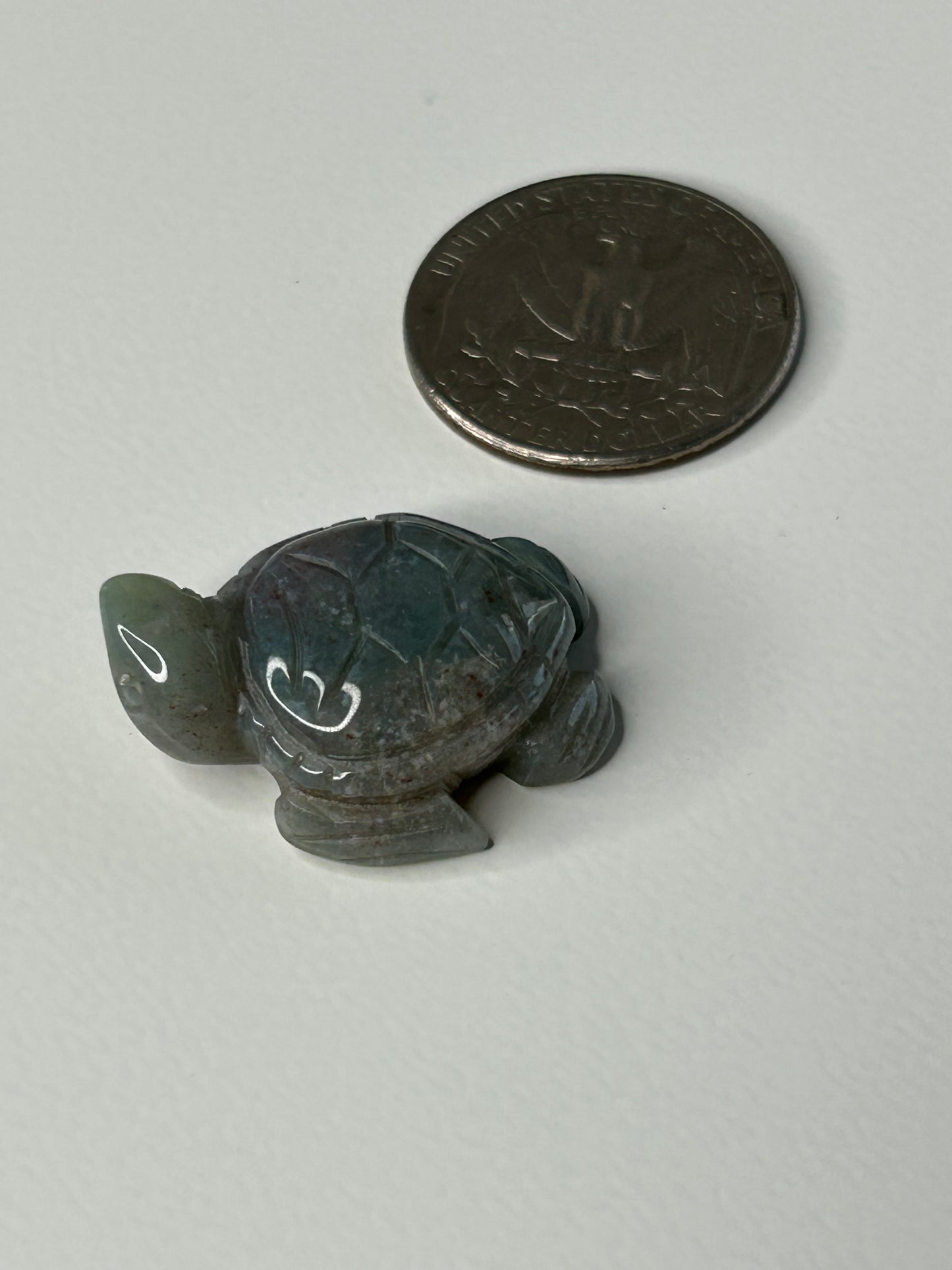 Mini Turtle Carving