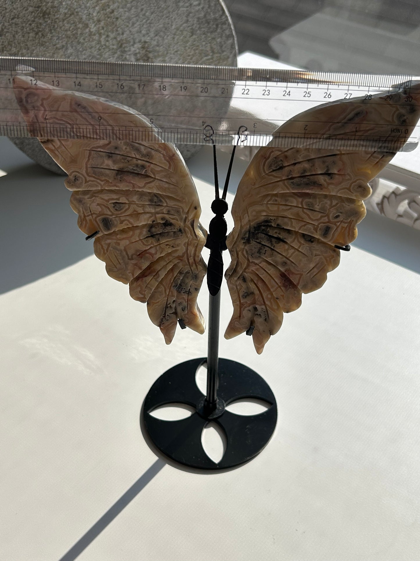 Crazy Lace Agate Butterfly Wing Carvings on Stand